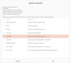 Secondo il formato, sono disponibili alcune opzioni La finestra Opzioni avanzate, con le opzioni aggiuntive per la conversione