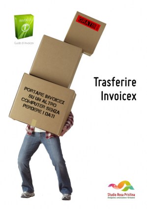 Una persona che porta a braccia tre scatoni impilati e in equilibrio precario. Trasferire Invoicex è più semplice...